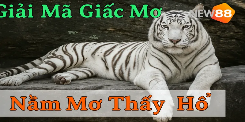 Mơ Thấy Cọp Vào Nhà